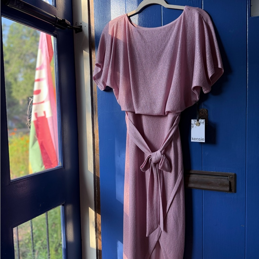 Kensie Pink Textured Tie-Waist Dress - Size 4 (NWT)
